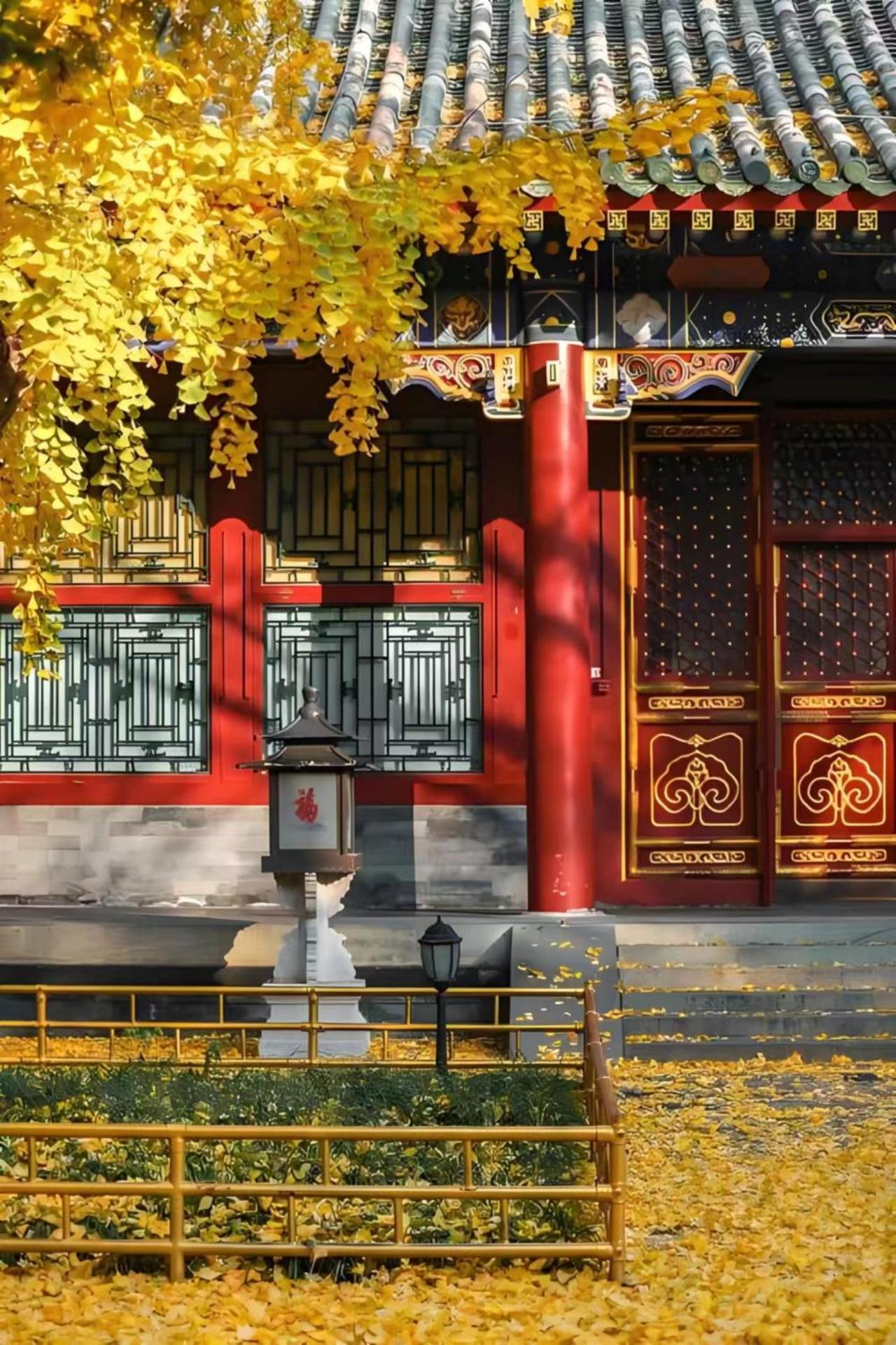 Beijing Tangfu Hotel - Located In The City Center Adjacent To The Subway Station Close To Nanluoguxiang Gulou Lama Temple Tiananmen Square Forbidden City Temple Of Heaven Providing Laundry Car Rental And Ticketing Services Exterior photo